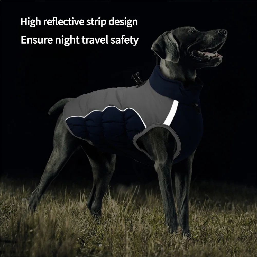 Premium Dog Jacket for Winter