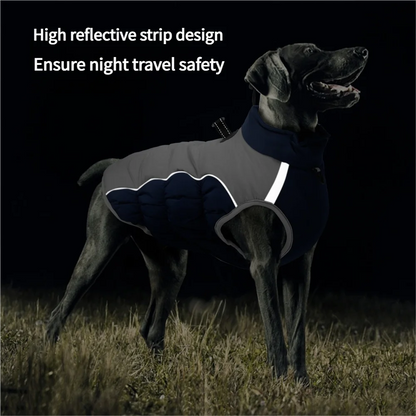 Premium Dog Jacket for Winter