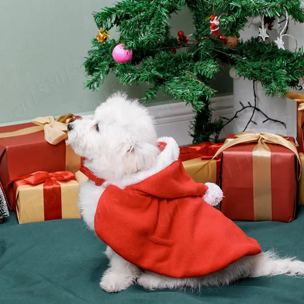 Christmas Cat Hooded Outfit