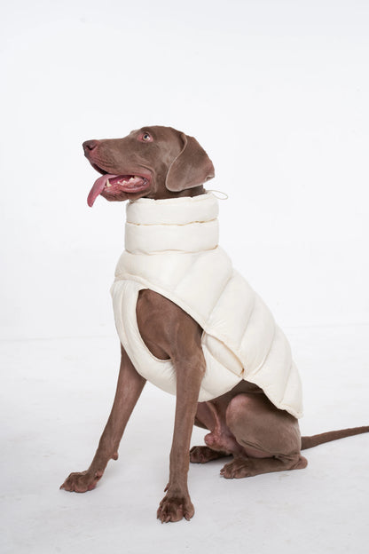 Paw-Dream Doggy Raincoat