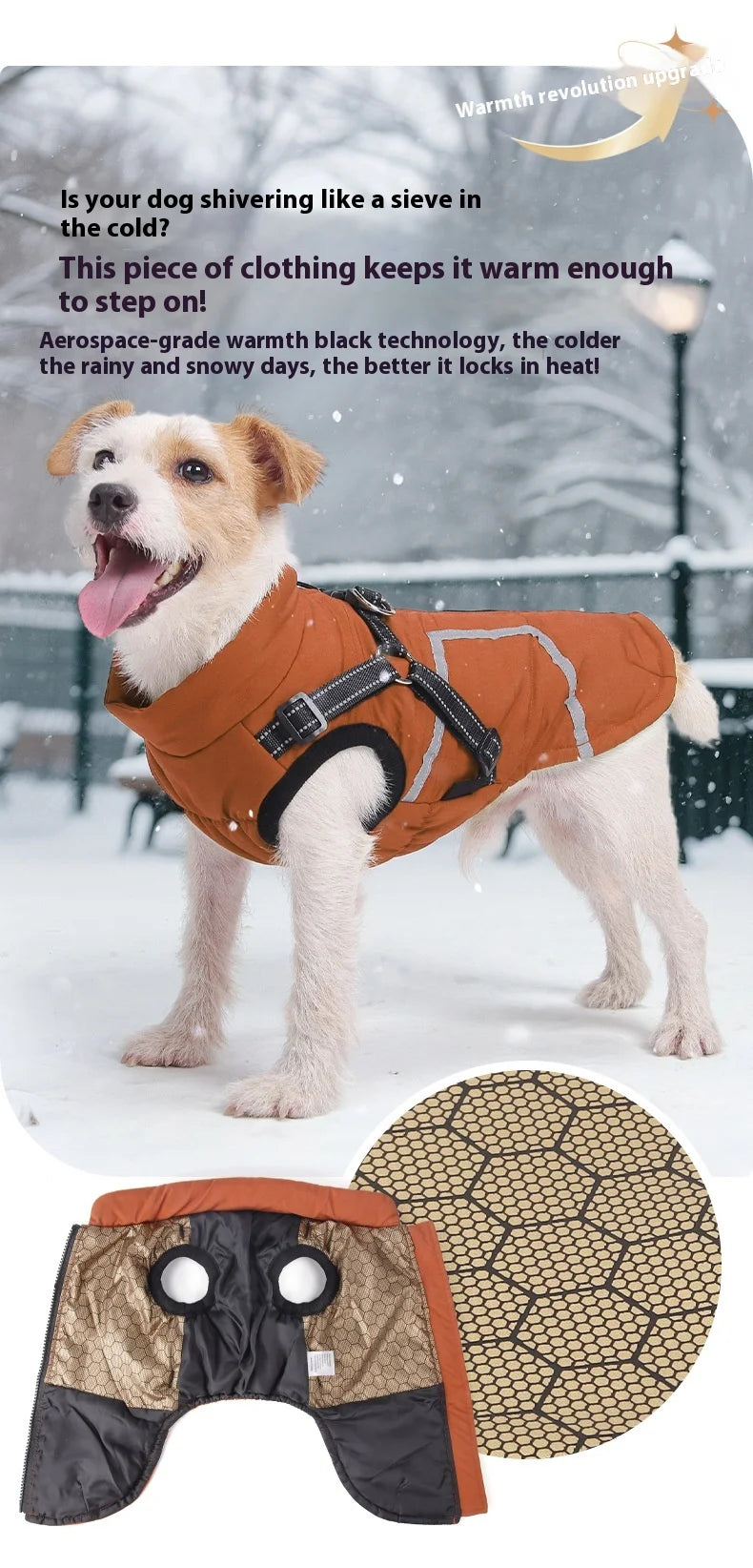 Premium All-Weather Dog Jacket with Harness