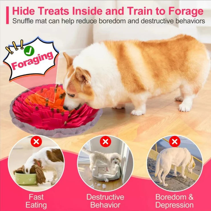 Washable Foldable Sniffing Pad