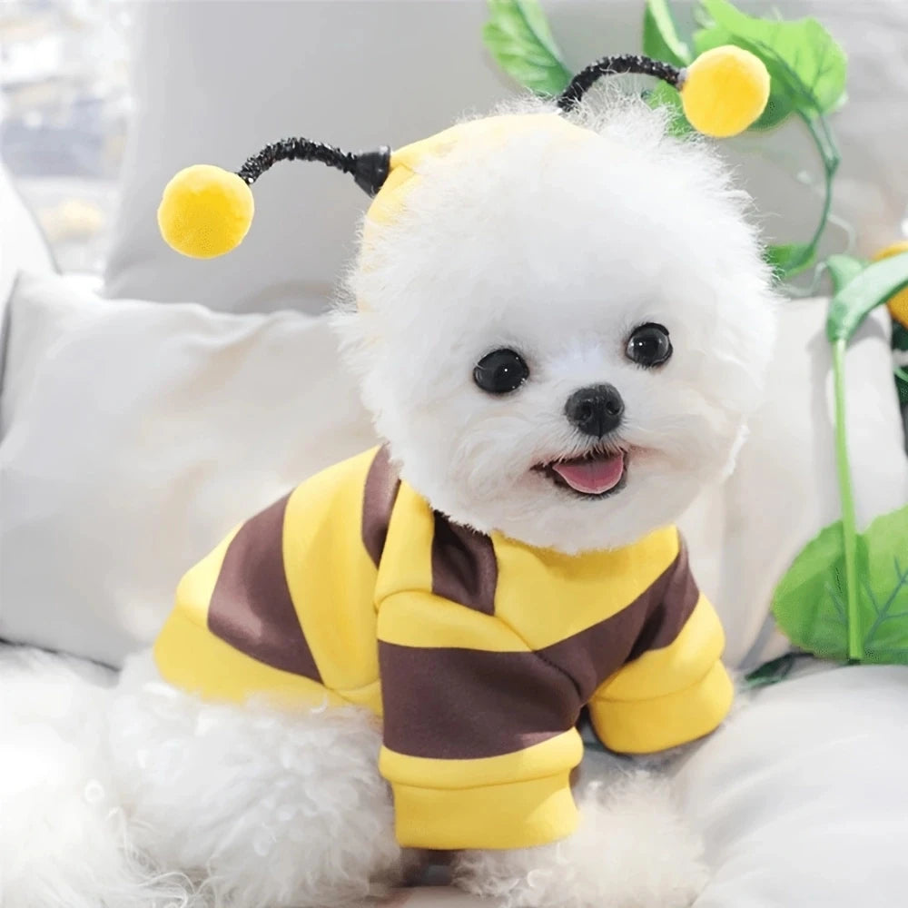 Bumble Bee Coat