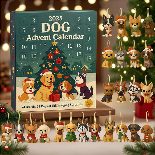 Christmas Advent Calendar