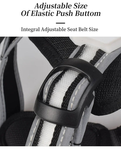Rechargeable Waterproof Doggy LED Harness