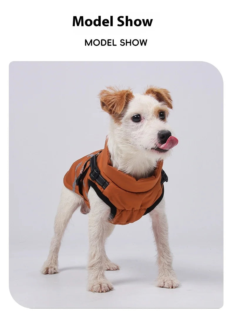 Premium All-Weather Dog Jacket with Harness