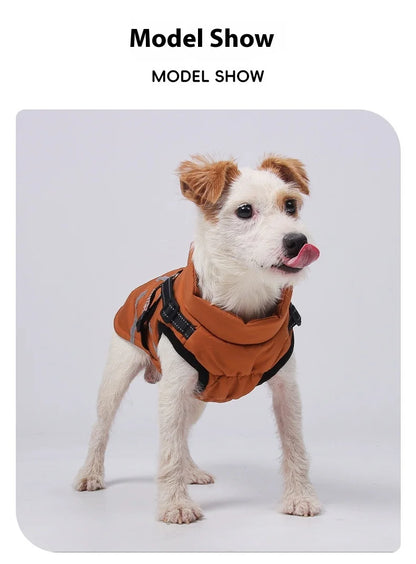Premium All-Weather Dog Jacket with Harness