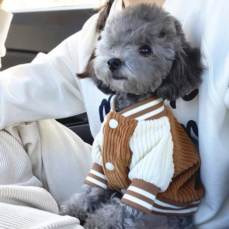 Cute Embroidered Doggy Baseball Jacket
