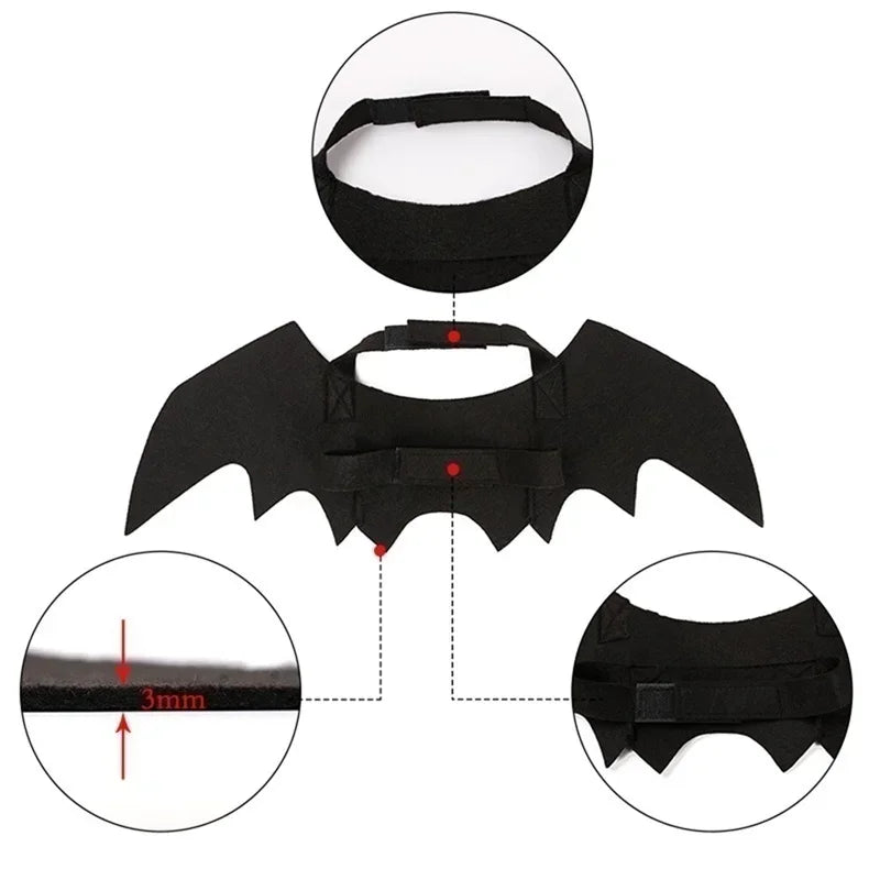 Cat Bat Wings Carrier Costume