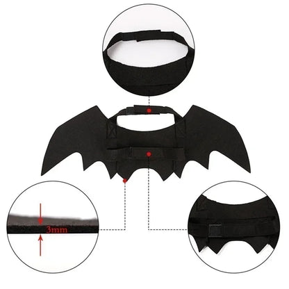 Cat Bat Wings Carrier Costume