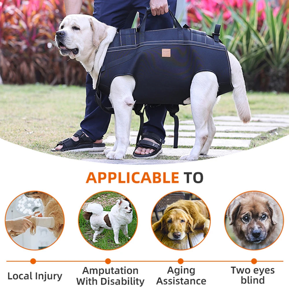 Large Doggy Backpack Carrier