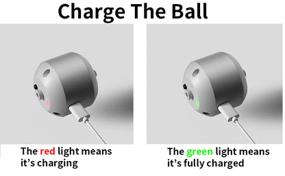 Electric LED Interactive Dog Toy