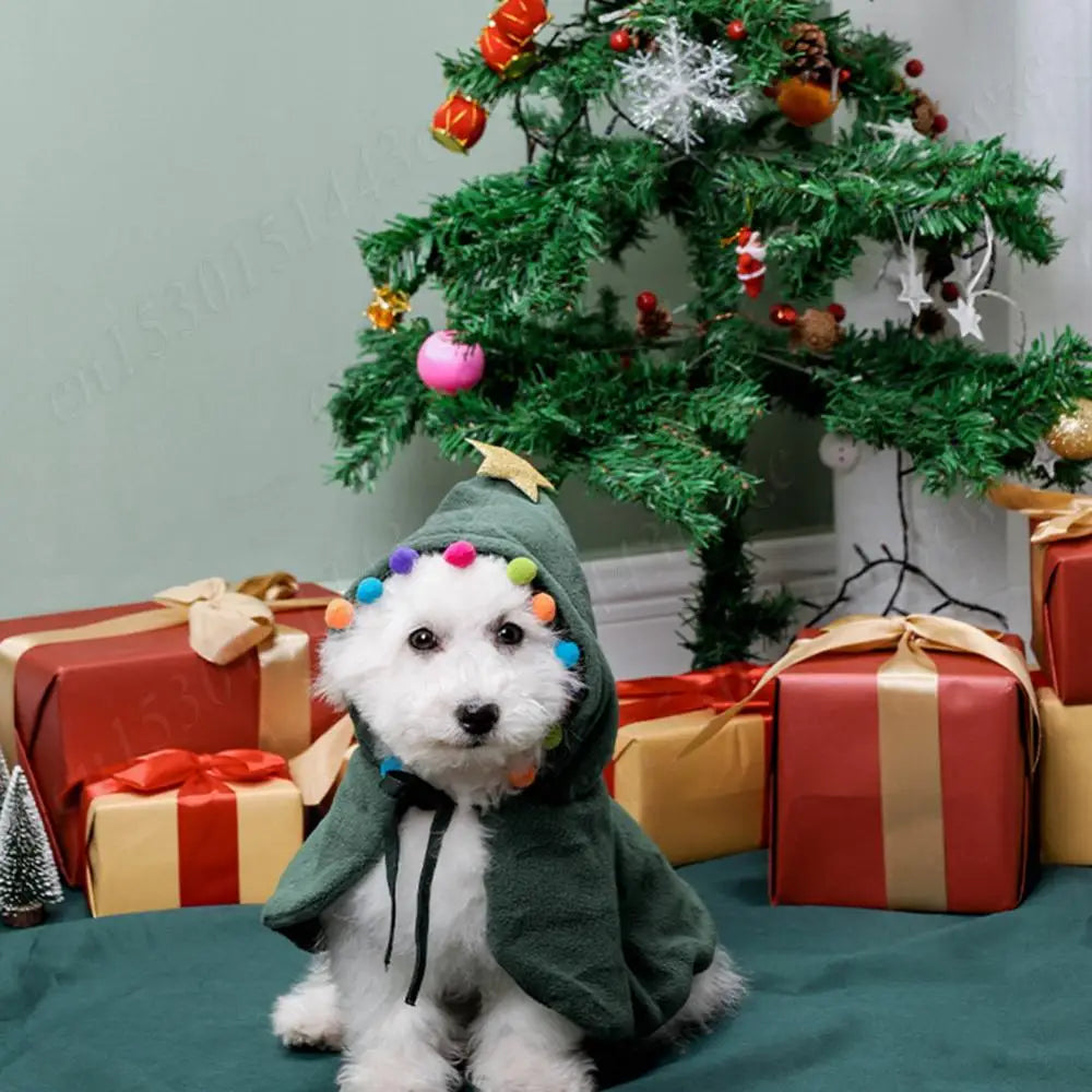 Christmas Cat Hooded Outfit
