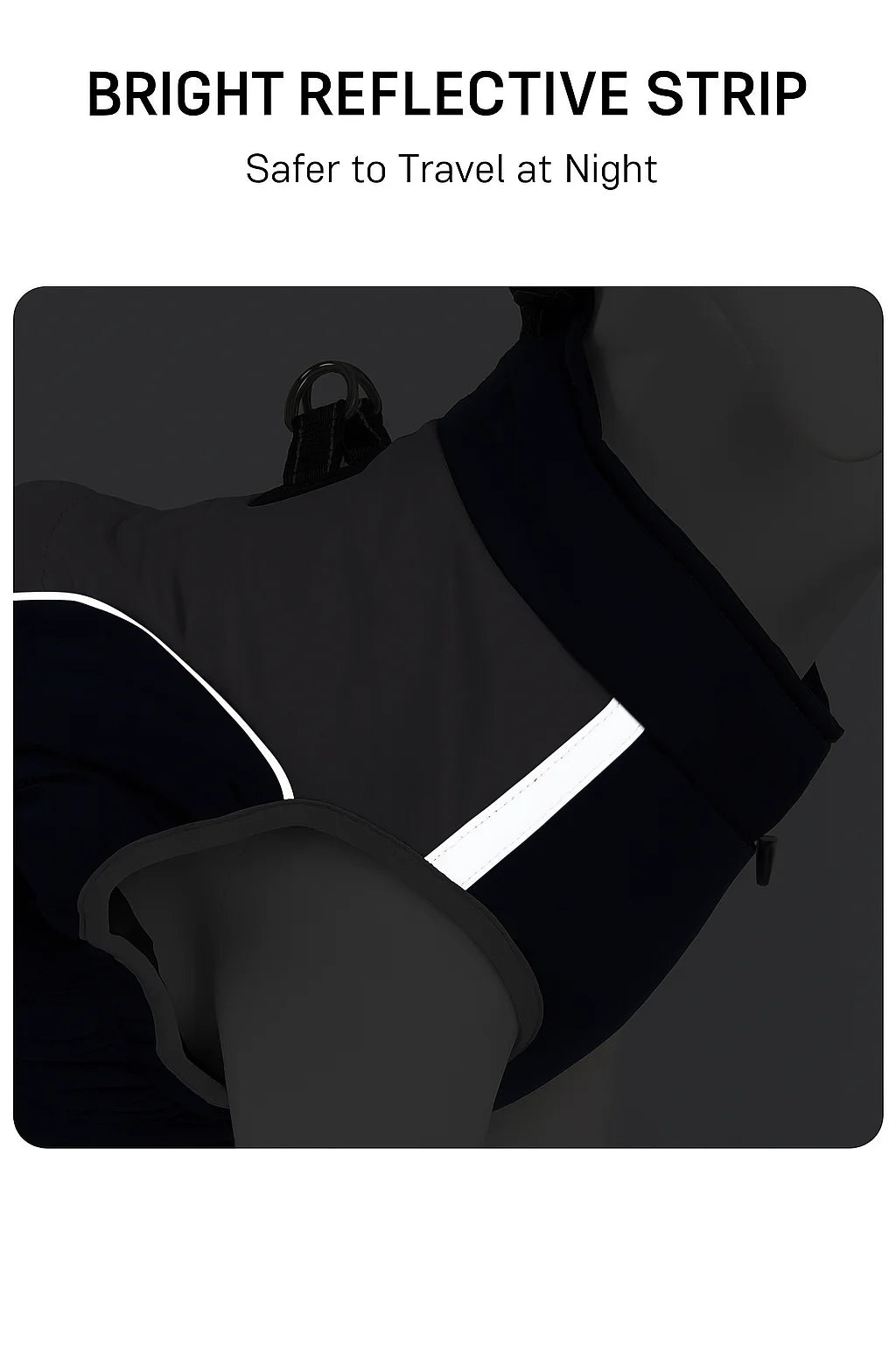 Premium Dog Jacket for Winter