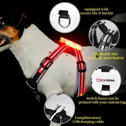 Rechargeable Waterproof Doggy LED Harness