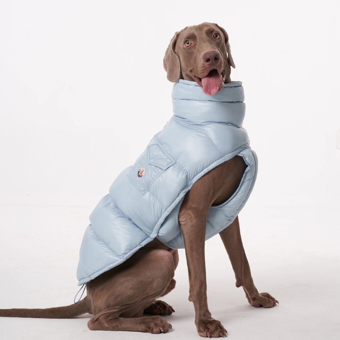 Paw-Dream Doggy Raincoat