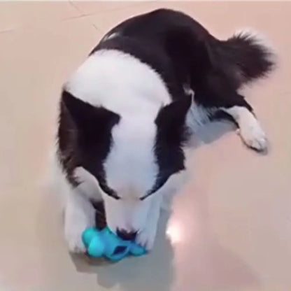 Bite-resistant Pet Chew Toy