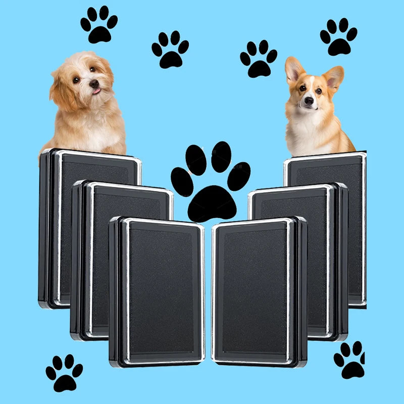 Cat/Dog Printing Station