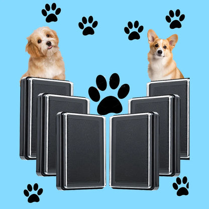 Cat/Dog Printing Station