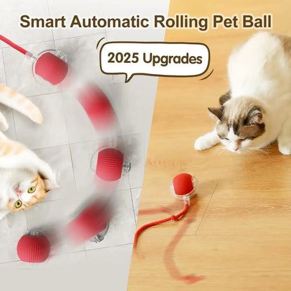 Rechargeable Cat/Dog Toy