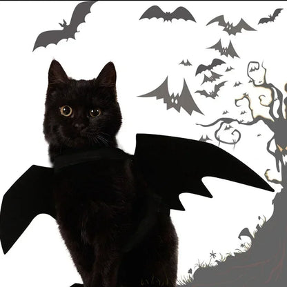 Cat Bat Wings Carrier Costume