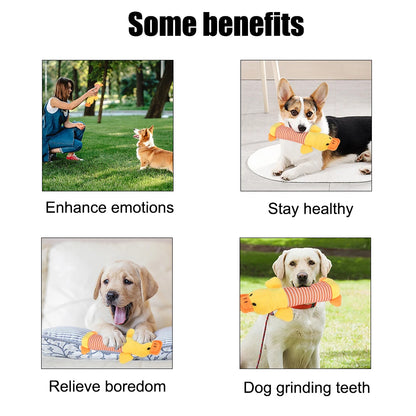 Popular Squeak Chew Plush Toy