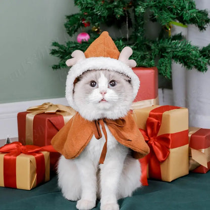 Christmas Cat Hooded Outfit