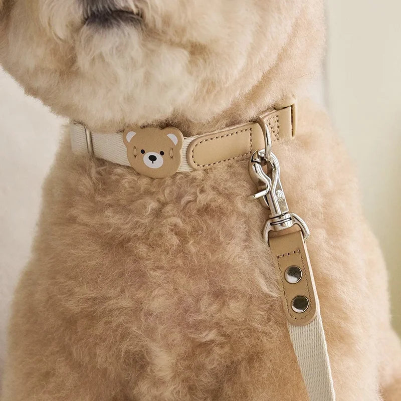 Pet Harness and Leash Set - Small