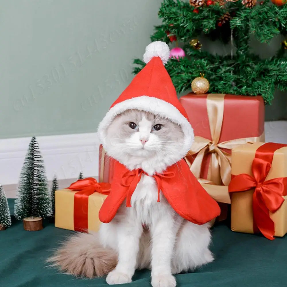 Christmas Cat Hooded Outfit