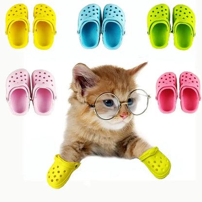 Doggy Kitty Crocs