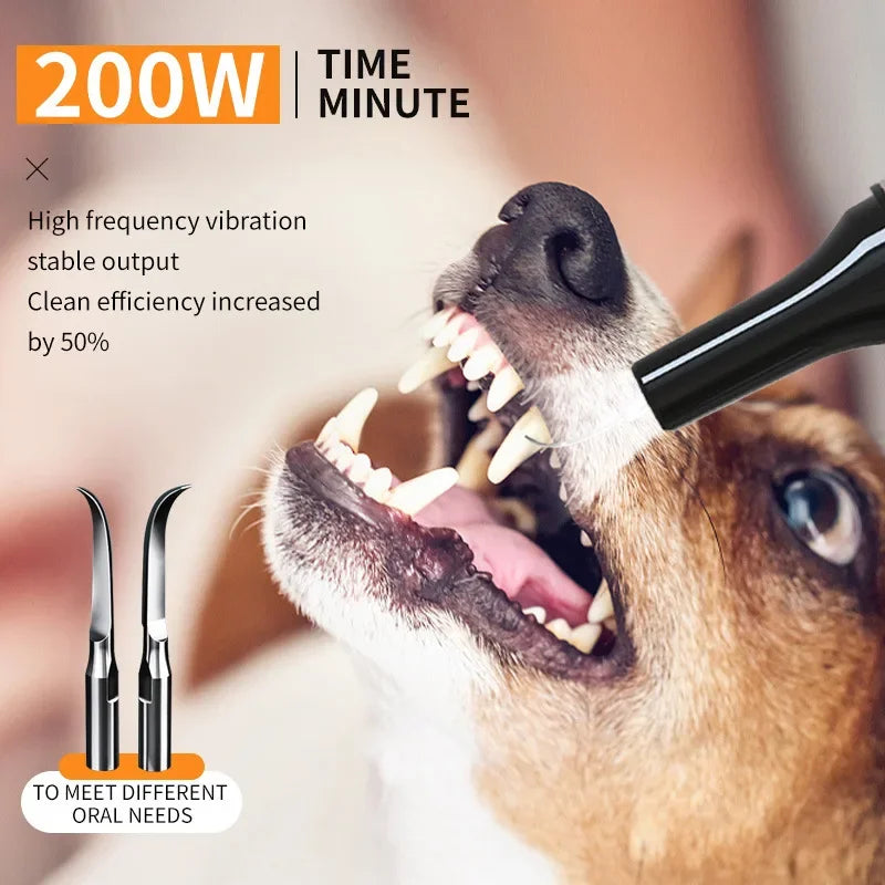 Cat//Dog Electric Ultrasound Teeth Cleaner