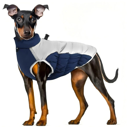 Premium Dog Jacket for Winter