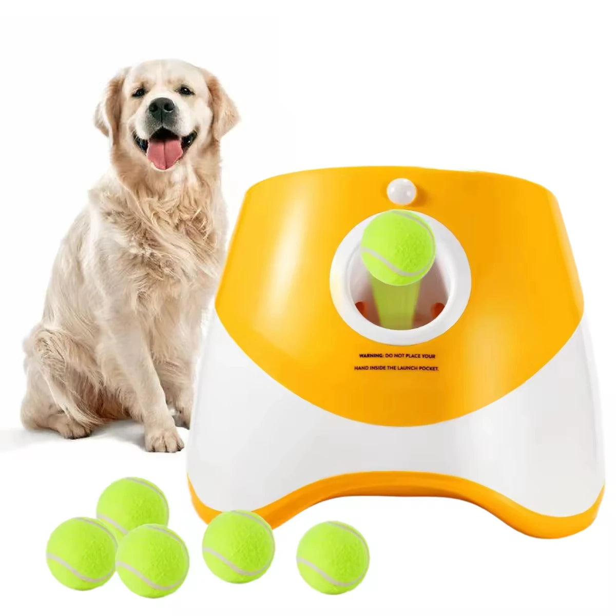 Automatic Doggy Ball Launcher