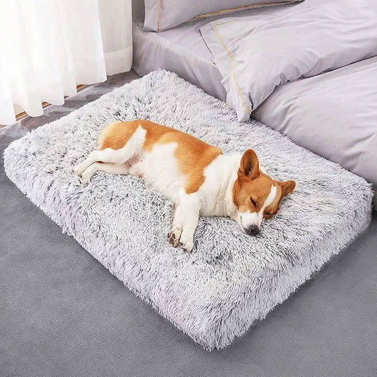 Soft Plush Doggy or Cat Bed