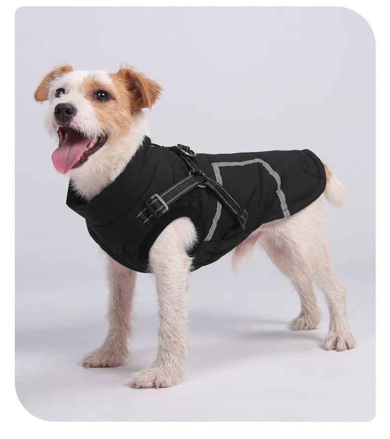 Premium All-Weather Dog Jacket with Harness
