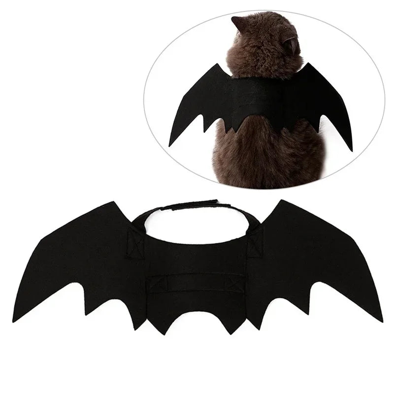 Cat Bat Wings Carrier Costume