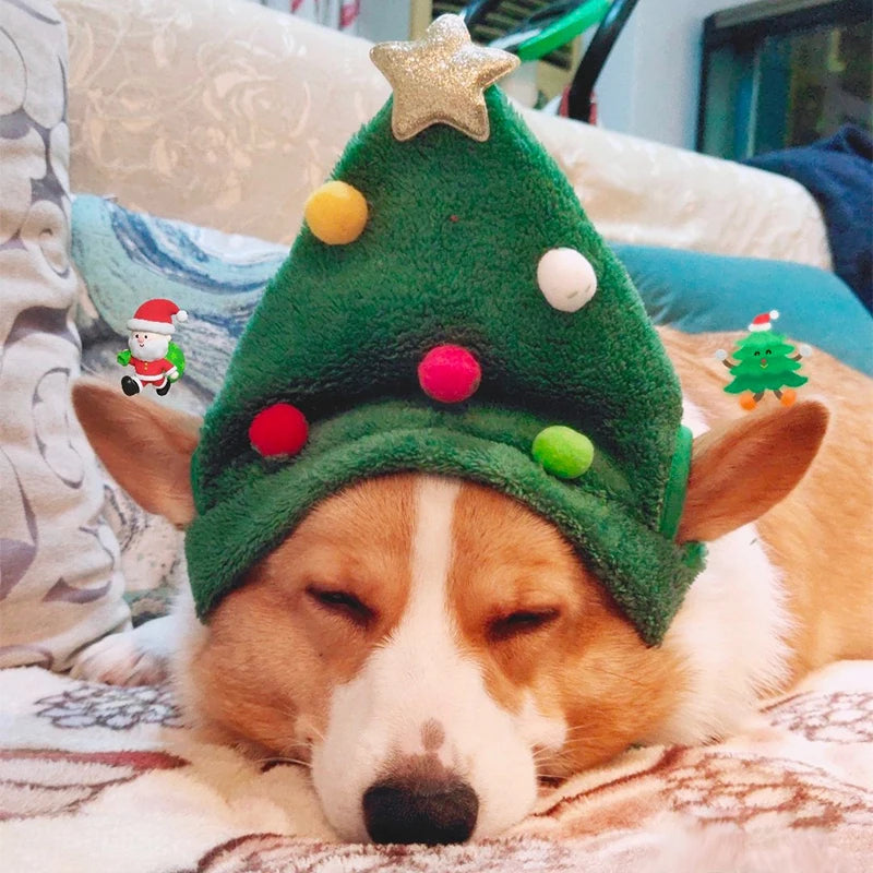 Kitty/Doggy Christmas Costume