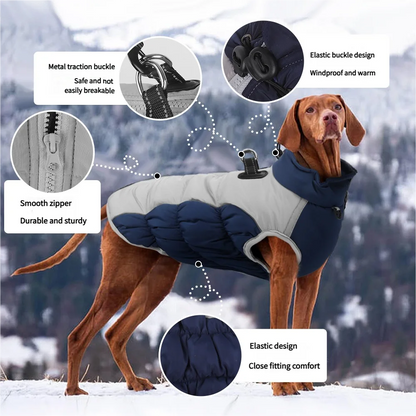 Premium Dog Jacket for Winter