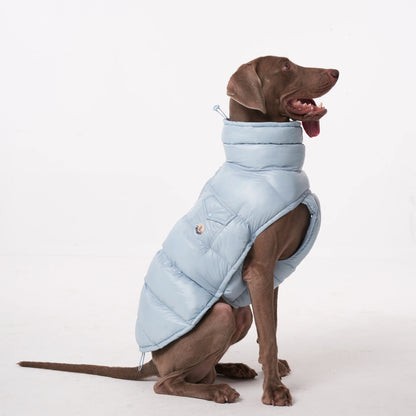 Paw-Dream Doggy Raincoat