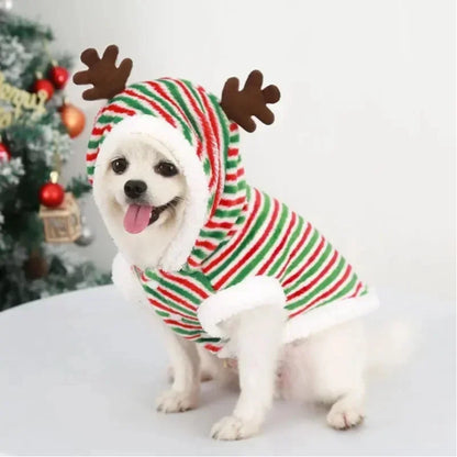 Doggy Christmas Vest