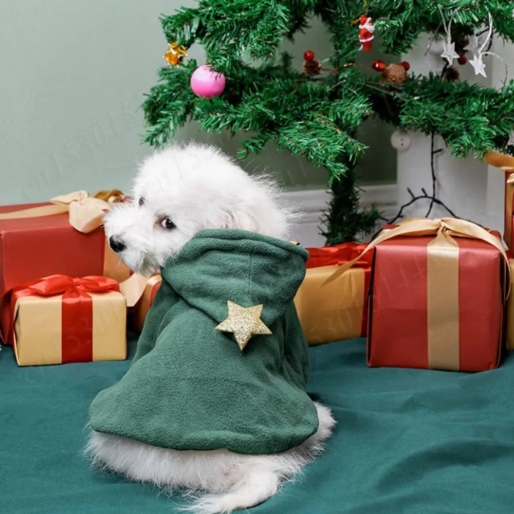 Christmas Cat Hooded Outfit