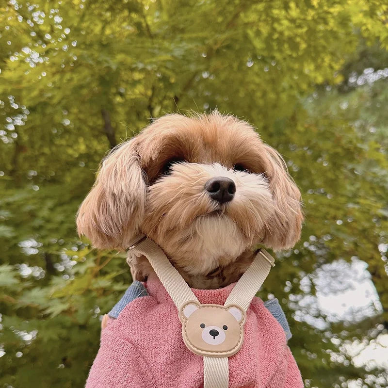 Pet Harness and Leash Set - Small