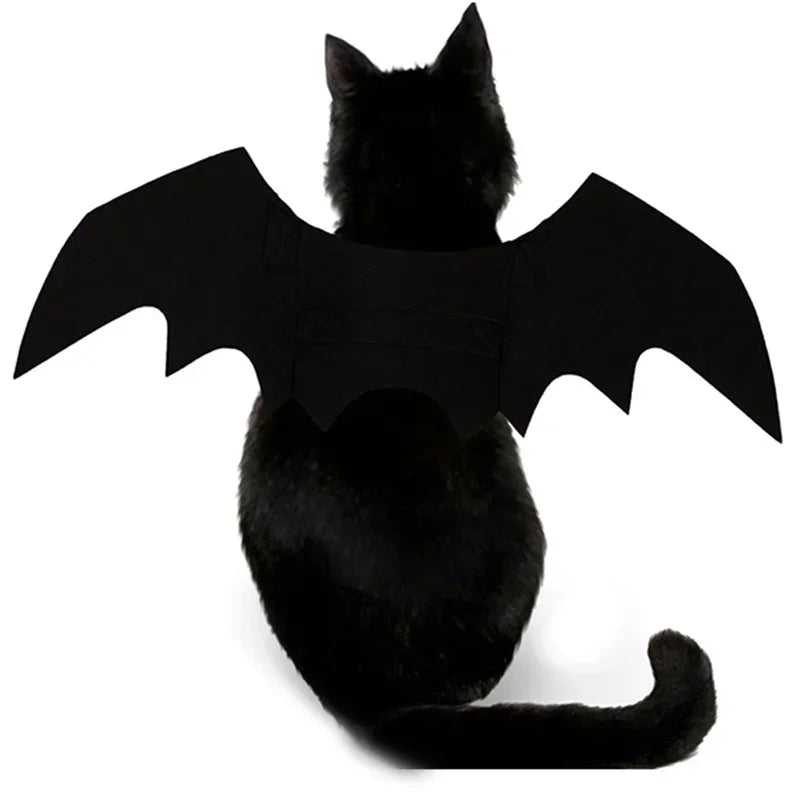 Cat Bat Wings Carrier Costume
