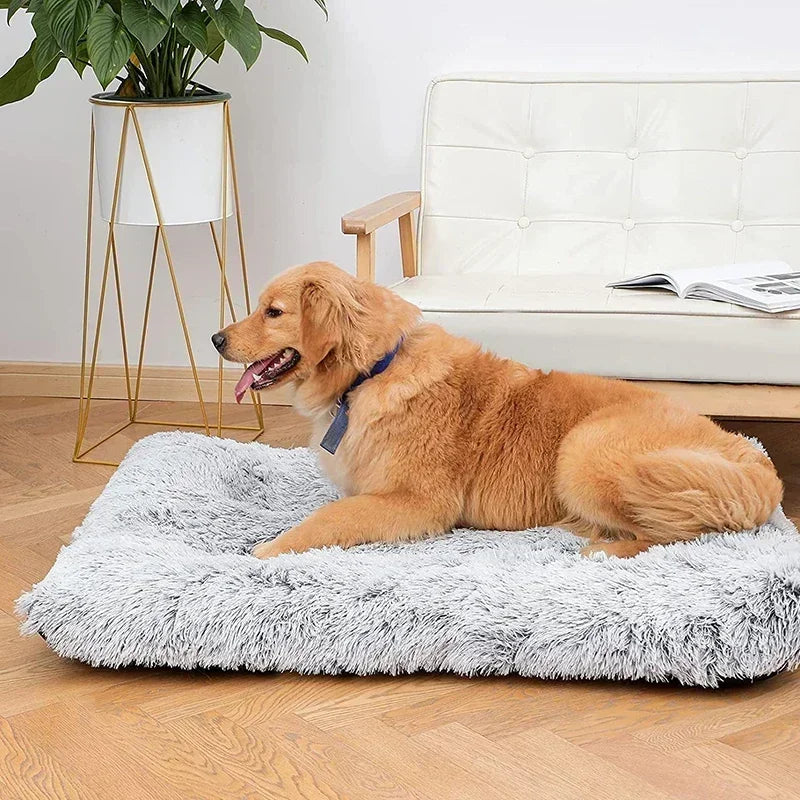 Soft Plush Doggy or Cat Bed