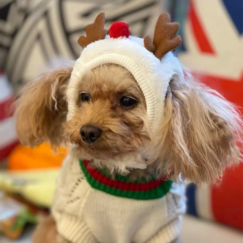 Kitty/Doggy Christmas Costume