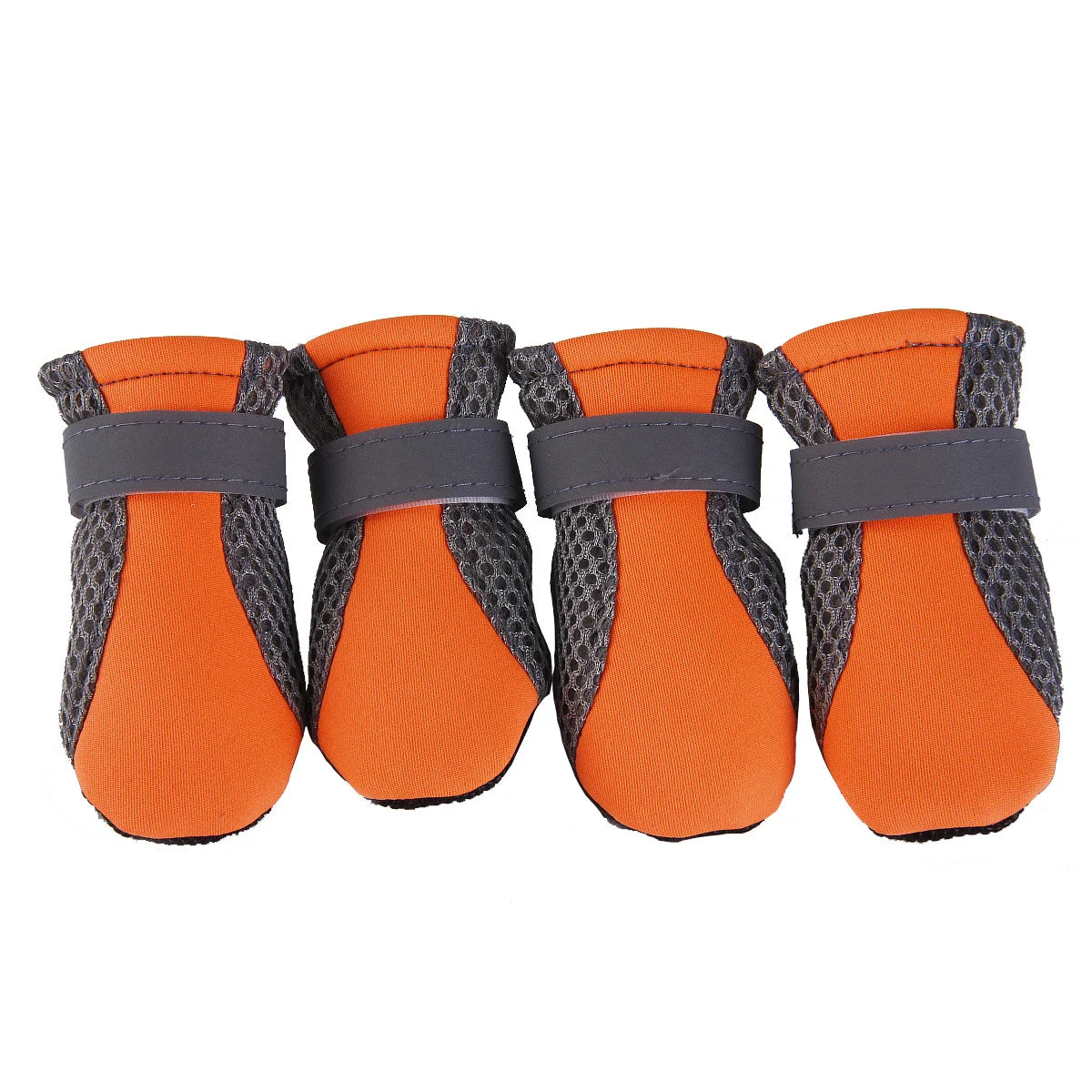 Puppy Outdoor Shoes