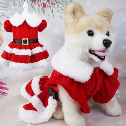 Cosy Doggy Christmas Costume
