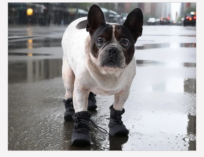 Waterproof Anti Slip Doggy Shoes