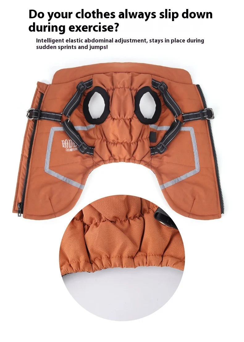 Premium All-Weather Dog Jacket with Harness