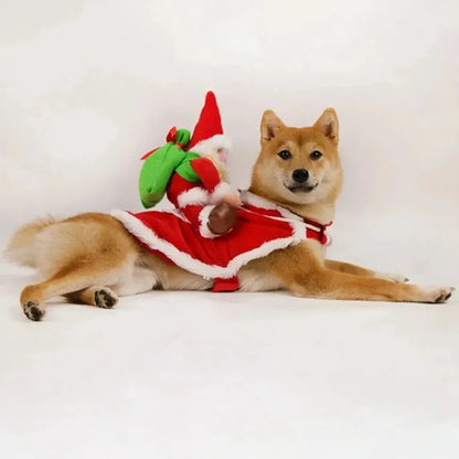 Doggy Christmas Costume